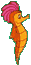 cavalluccio