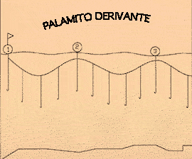 palamito d'altura derivante